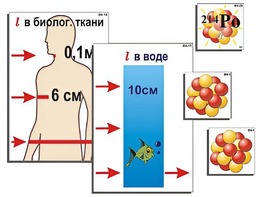 Модель-аппликация "Явление радиоактивности" (ламинированная) - fgospostavki.ru - Самара