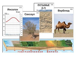 Модель-аппликация "Природные зоны" - fgospostavki.ru - Самара