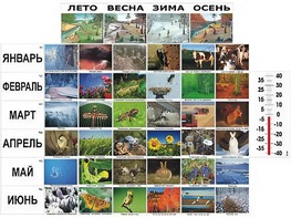 Фенологические наблюдения - fgospostavki.ru - Самара