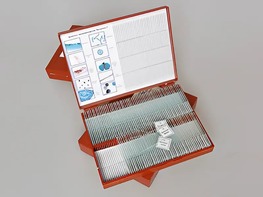 Комплект микропрепаратов "Ботаника 1" - fgospostavki.ru - Самара