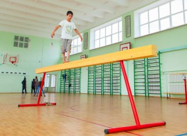 Бревно гимнастическое напольное постоянной высоты (700 мм) (5 м) - fgospostavki.ru - Самара