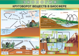 Таблица "Круговорот веществ в биосфере" (100х140 сантиметров, винил) - fgospostavki.ru - Самара
