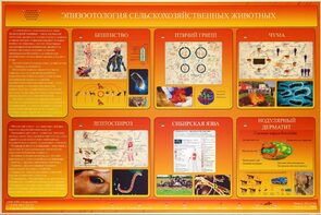 Электрифицированный стенд «Эпизоотология сельскохозяйственных животных» - fgospostavki.ru - Самара