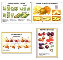 Плакаты ПРОФТЕХ "Ассортимент овощных культур" (12 пл, винил, 70х100) - fgospostavki.ru - Самара
