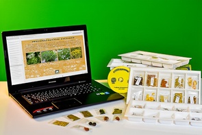 Коллекция натурально-интерактивная "Плоды сельскохозяйственных растений" - fgospostavki.ru - Самара