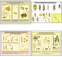 Плакаты ПРОФТЕХ "Вредители и болезни с/х культур и меры борьбы с ними" (11 пл, винил, 70х100) - fgospostavki.ru - Самара