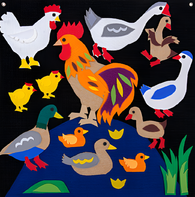 Пособие для слабовидящих детей «Домашние птицы» - fgospostavki.ru - Самара