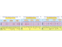 Плакаты ПРОФТЕХ "Ассортимент продовольственных товаров" (3 пл, винил, 70х100) - fgospostavki.ru - Самара