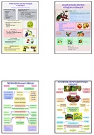 Плакаты ПРОФТЕХ "Классификация овощей и переработка" (8 пл, винил, 70х100) - fgospostavki.ru - Самара