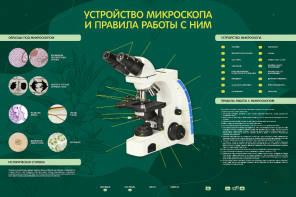 Электрифицированный стенд "Устройство микроскопа и правила работы c ним" - fgospostavki.ru - Самара