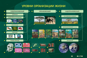 Электрифицированный стенд "Уровни организации жизни" - fgospostavki.ru - Самара