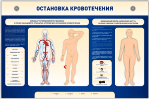 Электрифицированный стенд-тренажер "Остановка кровотечения" - fgospostavki.ru - Самара