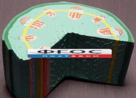 Модель "Стебель растения" - fgospostavki.ru - Самара