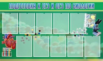 Стенд "Подготовка к ЕГЭ и ОГЭ по биологии" Вариант 2 - fgospostavki.ru - Самара