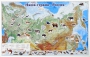 Магнитные карточки "Животные" - fgospostavki.ru - Самара