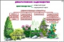 Комплект кодотранспарантов "Культурные растения" - fgospostavki.ru - Самара